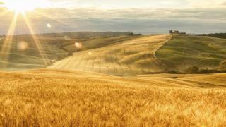 sunset over fields