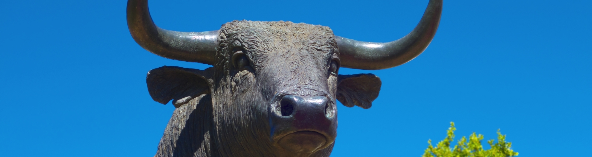 Bronze Bull Statue